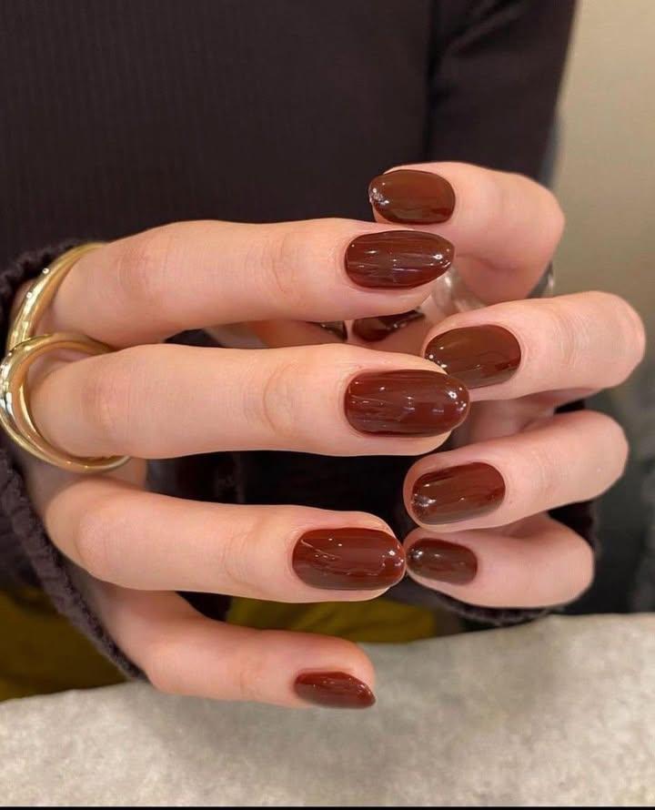 Glossy Deep Brown Nails