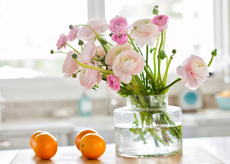 Summer Flower Displays