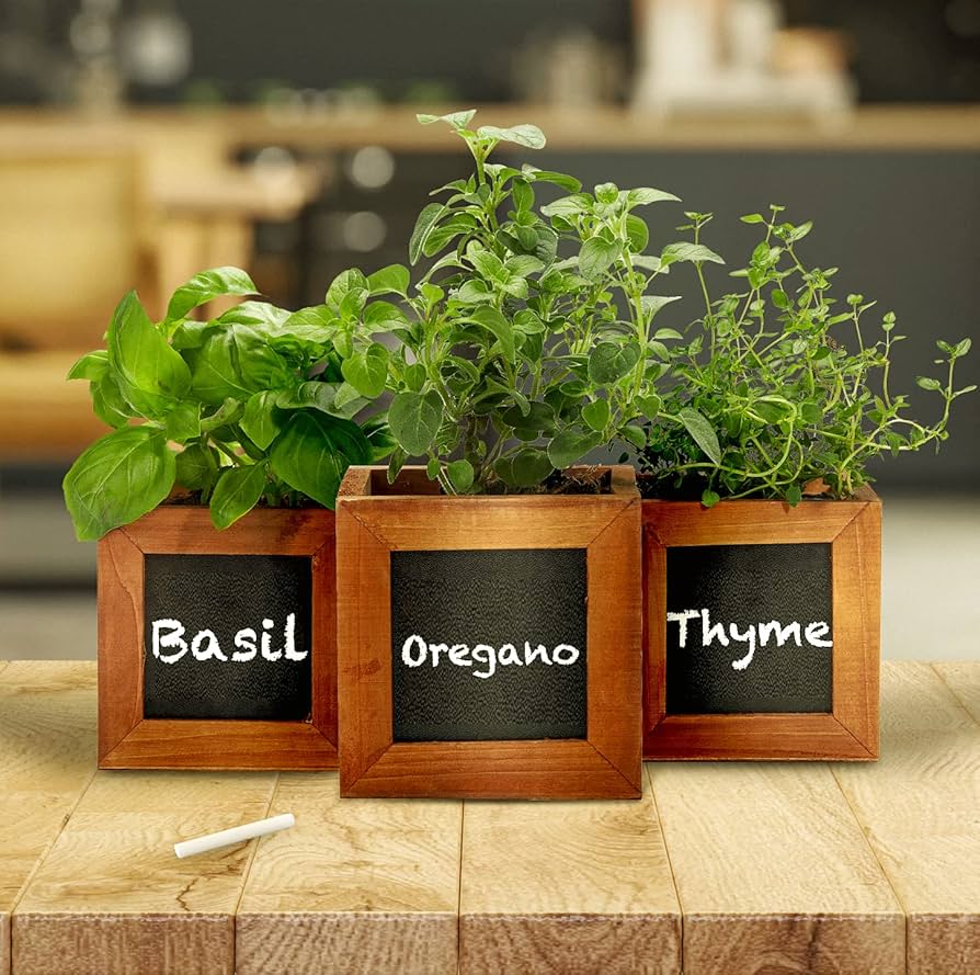 Wooden Tray with Small Potted Herbs Spring Centerpiece ideas